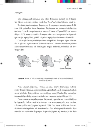 Da ﬂor ao fruto | 153
Montagem
Infle a bexiga azul, formando uma esfera de mais ou menos 8 cm de diâme-
tro. Dê um nó o mais próximo possível da “boca” da bexiga. Este será o ovário.
Repita os seguintes passos do processo de montagem anterior: passo 2 (Fi-
gura 22B) variando a forma da pétala e diminuindo seu tamanho (pétalas com
cerca de 15 cm de comprimento ou menores); passo 3 (Figura 22C); e o passo 4
(Figura 22D), sendo necessário, desta vez, colar com cola quente a bexiga verde
que encapa o gargalo da garrafa, ou pintar o gargalo com tinta acrílica verde.
Cole as pétalas na parte superior do receptáculo de isopor. Após colar to-
das as pétalas, faça dois furos distantes cerca de 1 cm um do outro e passe o
arame encapado usado em embalagens de pão de fôrma, formando um arco
(Figura 24).
Figura 24 Etapas da ﬁxação das pétalas e do arame encapado no receptáculo (ápice do
hemisfério de isopor).
Pegue a outra bexiga verde e prenda seu fundo no arco de arame da parte su-
perior do receptáculo, e, ao mesmo tempo, prenda a boca da bexiga azul inflada
na parte inferior do receptáculo com auxilio do arame. Para facilitar a visualiza-
ção, as pétalas não foram representadas nos esquemas abaixo (Figura 25).
Passe a mangueira pelo gargalo da garrafa e prenda sua extremidade na
bexiga verde. Utilize a saliência formada pelo arame encapado para encaixar
a flor no pedúnculo (gargalo da garrafa PET). Para isso o pedúnculo deve ser
fixado em um ângulo de 45º, sustentando a flor. A bexiga verde murcha deve
ser colocada no interior do gargalo da garrafa (Figura 26). Atenção, a flor deve
experimentando ciencia - prova9.indd 153experimentando ciencia - prova9.indd 153 19/07/2011 12:41:3019/07/2011 12:41:30
 