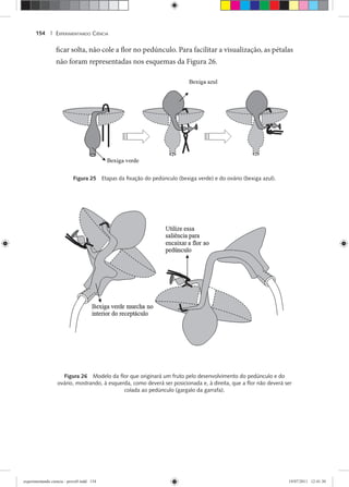 EXPERIMENTANDO CIÊNCIA154 |
ficar solta, não cole a flor no pedúnculo. Para facilitar a visualização, as pétalas
não foram representadas nos esquemas da Figura 26.
Figura 25 Etapas da ﬁxação do pedúnculo (bexiga verde) e do ovário (bexiga azul).
Figura 26 Modelo da ﬂor que originará um fruto pelo desenvolvimento do pedúnculo e do
ovário, mostrando, à esquerda, como deverá ser posicionada e, à direita, que a ﬂor não deverá ser
colada ao pedúnculo (gargalo da garrafa).
experimentando ciencia - prova9.indd 154experimentando ciencia - prova9.indd 154 19/07/2011 12:41:3019/07/2011 12:41:30
 