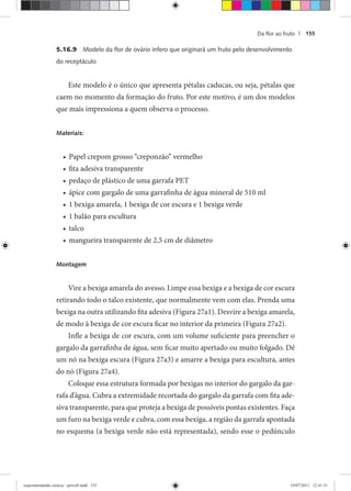 Da ﬂor ao fruto | 155
5.16.9 Modelo da ﬂor de ovário ínfero que originará um fruto pelo desenvolvimento
do receptáculo
Este modelo é o único que apresenta pétalas caducas, ou seja, pétalas que
caem no momento da formação do fruto. Por este motivo, é um dos modelos
que mais impressiona a quem observa o processo.
Materiais:
Papel crepom grosso “creponzão” vermelho•
fita adesiva transparente•
pedaço de plástico de uma garrafa PET•
ápice com gargalo de uma garrafinha de água mineral de 510 ml•
1 bexiga amarela, 1 bexiga de cor escura e 1 bexiga verde•
1 balão para escultura•
talco•
mangueira transparente de 2,5 cm de diâmetro•
Montagem
Vire a bexiga amarela do avesso. Limpe essa bexiga e a bexiga de cor escura
retirando todo o talco existente, que normalmente vem com elas. Prenda uma
bexiga na outra utilizando fita adesiva (Figura 27a1). Desvire a bexiga amarela,
de modo à bexiga de cor escura ficar no interior da primeira (Figura 27a2).
Infle a bexiga de cor escura, com um volume suficiente para preencher o
gargalo da garrafinha de água, sem ficar muito apertado ou muito folgado. Dê
um nó na bexiga escura (Figura 27a3) e amarre a bexiga para escultura, antes
do nó (Figura 27a4).
Coloque essa estrutura formada por bexigas no interior do gargalo da gar-
rafa d’água. Cubra a extremidade recortada do gargalo da garrafa com fita ade-
siva transparente, para que proteja a bexiga de possíveis pontas existentes. Faça
um furo na bexiga verde e cubra, com essa bexiga, a região da garrafa apontada
no esquema (a bexiga verde não está representada), sendo esse o pedúnculo
experimentando ciencia - prova9.indd 155experimentando ciencia - prova9.indd 155 19/07/2011 12:41:3119/07/2011 12:41:31
 