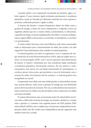 A célula por dentro: uma abordagem dinâmica do processo da síntese proteica | 167
A parede celular é um componente encontrado em bactérias, algas e cé-
lulas vegetais. É uma estrutura rígida localizada externamente à membrana
plasmática e pode ser formada por diferentes materiais tais como açúcares e
proteínas, conferindo proteção e rigidez à célula.
A maioria das funções e reações bioquímicas dentro da célula, como a
geração de energia, a síntese de novos componentes e a digestão, ocorre nas
organelas celulares que são: o núcleo celular, as mitocôndrias, os ribossomos,
o aparelho de Golgi, o retículo endoplasmático liso (REL), o retículo endoplas-
mático rugoso (RER), os lisossomos, os centríolos, os cloroplastos, os vacúolos
e os peroxissomos.
O núcleo celular funciona como uma biblioteca onde estão armazenadas
todas as informações para o funcionamento da célula, dos tecidos e de todo
organismo! Essas informações estão contidas no material genético.
O material genético de todos os organismos vivos é composto de lon-
gas moléculas de ácido desoxirribonucleico (DNA, sigla em inglês mais co-
mum, ou em português ADN), com 2 nm de espessura (dois bilionésimos
de metro). O núcleo é delimitado por uma membrana dupla semelhante
à membrana plasmática, denominada carioteca. No seu interior o mate-
rial genético está imerso em um fluido denominado de nucleoplasma. A
carioteca possui vários poros que permitem a troca de informação com o
restante da célula. Em bactérias não há carioteca e o material genético fica
mergulhado no citosol.
Comparando uma célula com uma cidade grande, as mitocôndrias seriam
suas centrais elétricas, onde ocorre a geração de energia que será distribuída
para os diversos pontos de consumo. Por isso, as mitocôndrias são essenciais e
muito numerosas em células com alta atividade e pouco numerosas em células
com baixa atividade.
É comum observarmos uma concentração maior de mitocôndrias nos lo-
cais onde a célula mais necessita de energia, encurtando a distância e o tempo
entre a geração e o consumo. Essa organela possui um DNA próprio, DNA
mitocondrial (mDNA), que se duplica por um processo independente da du-
plicação celular. Isso lhe confere uma independência parcial, sugerindo uma
simbiose entre ela e a célula.
experimentando ciencia - prova9.indd 167experimentando ciencia - prova9.indd 167 19/07/2011 12:41:5819/07/2011 12:41:58
 