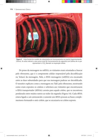 EXPERIMENTANDO CIÊNCIA176 |
Figura 2 Vista frontal do modelo da mitocôndria em funcionamento no evento Experimentando
Ciência. As setas indicam a área acesa (sinal de funcionamento da organela) com bolhas de ar que
representam o CO2
liberado na respiração celular.
De posse da mensagem no mRNA, os visitantes eram orientados a buscar
pelo ribossomo, que é o componente celular responsável pela decodificação
ou ‘leitura’ da mensagem. Nele, o RNA mensageiro (mRNA) era encaixado
entre as duas subunidades para que sua mensagem pudesse ser decodificada.
O monitor explicava como a mensagem era ‘lida’ pelo ribossomo, mostrando
como eram expostos os códons e solicitava aos visitantes que encontrassem
o RNA transportador (tRNAs) correto para aquele códon, que se encontrava
pendurado entre muitos outros ao redor da organela (Figura 14). Cada tRNA
estava ligado a um aminoácido e somente um tRNA possuía as bases comple-
mentares formando o anti-códon, que se encaixaria no códon exposto.
experimentando ciencia - prova9.indd 176experimentando ciencia - prova9.indd 176 19/07/2011 12:41:5919/07/2011 12:41:59
 