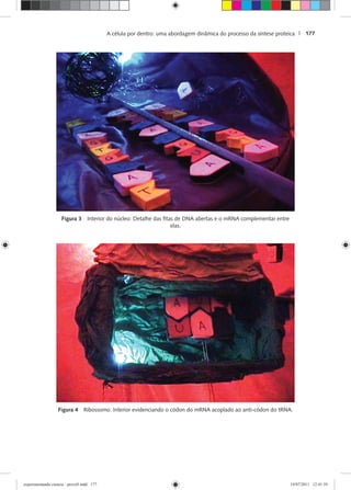A célula por dentro: uma abordagem dinâmica do processo da síntese proteica | 177
Figura 3 Interior do núcleo: Detalhe das ﬁtas de DNA abertas e o mRNA complementar entre
elas.
Figura 4 Ribossomo: Interior evidenciando o códon do mRNA acoplado ao anti-códon do tRNA.
experimentando ciencia - prova9.indd 177experimentando ciencia - prova9.indd 177 19/07/2011 12:41:5919/07/2011 12:41:59
 