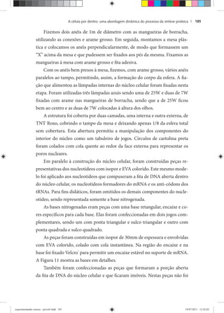 A célula por dentro: uma abordagem dinâmica do processo da síntese proteica | 185
Fizemos dois anéis de 1m de diâmetro com as mangueiras de borracha,
utilizando as conexões e arame grosso. Em seguida, montamos a mesa plás-
tica e colocamos os anéis perpendicularmente, de modo que formassem um
“X” acima da mesa e que pudessem ser fixados aos pés da mesma. Fixamos as
mangueiras à mesa com arame grosso e fita adesiva.
Com os anéis bem presos à mesa, fizemos, com arame grosso, vários anéis
paralelos ao tampo, permitindo, assim, a formação do corpo da esfera. A fia-
ção que alimentou as lâmpadas internas do núcleo celular foram fixadas nesta
etapa. Foram utilizadas três lâmpadas azuis sendo uma de 25W e duas de 7W
fixadas com arame nas mangueiras de borracha, sendo que a de 25W ficou
bem ao centro e as duas de 7W colocadas à altura dos olhos.
A estrutura foi coberta por duas camadas, uma interna e outra externa, de
TNT Roxo, cobrindo o tampo da mesa e deixando apenas 1/8 da esfera total
sem cobertura. Esta abertura permitiu a manipulação dos componentes do
interior do núcleo como um tabuleiro de jogos. Círculos de cartolina preta
foram colados com cola quente ao redor da face externa para representar os
poros nucleares.
Em paralelo à construção do núcleo celular, foram construídas peças re-
presentativas dos nucleotídeos com isopor e EVA colorido. Este mesmo mode-
lo foi aplicado aos nucleotídeos que compuseram a fita de DNA aberta dentro
do núcleo celular, os nucleotídeos formadores do mRNA e os anti-códons dos
tRNAs. Para fins didáticos, foram omitidos os demais componentes do nucle-
otídeo, sendo representada somente a base nitrogenada.
As bases nitrogenadas eram peças com uma base retangular, encaixe e co-
res específicos para cada base. Elas foram confeccionadas em dois jogos com-
plementares, sendo um com ponta triangular e sulco triangular e outro com
ponta quadrada e sulco quadrado.
As peças foram construídas em isopor de 30mm de espessura e envolvidas
com EVA colorido, colado com cola instantânea. Na região do encaixe e na
base foi fixado Velcro®
para permitir um encaixe estável no suporte de mRNA.
A Figura 11 mostra as bases em detalhes.
Também foram confeccionadas as peças que formaram a porção aberta
da fita de DNA do núcleo celular e que ficaram imóveis. Nestas peças não foi
experimentando ciencia - prova9.indd 185experimentando ciencia - prova9.indd 185 19/07/2011 12:42:0219/07/2011 12:42:02
 