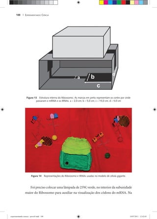EXPERIMENTANDO CIÊNCIA188 |
Figura 13 Estrutura interna do Ribossomo. As marcas em preto representam os cortes por onde
passaram o mRNA e os tRNAs. a – 2,0 cm; b – 5,0 cm; c – 15,0 cm; d – 5,0 cm
Figura 14 Representações do Ribossomo e tRNAs usadas no modelo de célula gigante.
Foi preciso colocar uma lâmpada de 25W, verde, no interior da subunidade
maior do Ribossomo para auxiliar na visualização dos códons do mRNA. Na
experimentando ciencia - prova9.indd 188experimentando ciencia - prova9.indd 188 19/07/2011 12:42:0319/07/2011 12:42:03
 