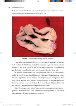 EXPERIMENTANDO CIÊNCIA190 |
furta-cor transparente foram colados na face externa representando as vesícu-
las que estão em constante movimento (Figura 15).
Figura 15 Foto do aparelho de Golgi montado no modelo.
Paraconstruiramembranaplasmática,utilizamosembalagensderefrigeran-
te de 2 L feitas de PET transparente. Primeiramente, as garrafas foram cortadas
ao meio e a porção do gargalo foi descartada. Depois moldamos uma mistura de
papel celofane vermelho e furta-cor transparente no interior da garrafa.
As garrafas foram coladas com cola quente em uma tira de cartolina ver-
melha de 0,4m X 2m em duas fileiras, com a abertura voltada para a cartolina.
Os canais e proteínas transmembrana foram representados com garrafas PET
coloridas ou cobertas com EVA colorido, enquanto que as porções transparen-
tes representavam as cabeças lipídicas do mosaico fluido. A Figura 16 mostra
em detalhes a composição final da membrana plasmática.
Além dos componentes interativos, criamos modelos para compor a ceno-
grafia do interior da célula. Estes componentes estão presentes na célula mas
não participam diretamente da síntese proteica.
experimentando ciencia - prova9.indd 190experimentando ciencia - prova9.indd 190 19/07/2011 12:42:0319/07/2011 12:42:03
 