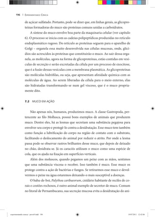 EXPERIMENTANDO CIÊNCIA196 |
de açúcar sulfatado. Portanto, pode-se dizer que, em linhas gerais, as glicopro-
teínas formadoras do muco são proteínas comuns unidas a carboidratos.
A síntese do muco envolve boa parte da maquinaria celular (ver capítulo
6). O processo se inicia com as cadeias polipeptídicas produzidas no retículo
endoplasmático rugoso. Do retículo as proteínas seguem para o aparelho de
Golgi – organela essa muito desenvolvida nas células mucosas, onde, glicí-
dios são acrescidos às proteínas que constituirão o muco. Ao sair dessa orga-
nela, as moléculas, agora na forma de glicoproteínas, estão contidas em vesí-
culas de secreção e serão excretadas da célula por um processo de exocitose,
que é a fusão dessas vesículas com a membrana plasmática. As glicoproteínas
são moléculas hidrófilas, ou seja, que apresentam afinidade química com as
moléculas de água. Ao serem liberadas da célula para o meio externo, elas
são hidratadas transformando-se num gel viscoso, que é o muco propria-
mente dito.
7.2 MUCO EM AÇÃO
Não apenas nós, humanos, produzimos muco. A classe Gastropoda, per-
tencente ao filo Mollusca, possui bons exemplos de animais que produzem
muco. Dentre eles, há as lesmas que secretam uma substância pegajosa para
envolver seu corpo e protegê-lo contra a desidratação. Esse muco tem também
como função a lubrificação do corpo na região de contato com o substrato,
facilitando o deslocamento do animal por reduzir o atrito. Por onde a lesma
passa pode-se observar rastros brilhantes desse muco, que depois de deixado
no chão, desidrata-se. Já os caracóis utilizam o muco como uma espécie de
cola, que os ajuda na fixação em superfícies verticais.
Além dos moluscos, quando pegamos um peixe com as mãos, sentimos
que uma substância viscosa o recobre. Isso também é muco. Esse muco os
protege contra a ação de bactérias e fungos. Se retirarmos esse muco e devol-
vermos o peixe na água estaremos deixando-o mais susceptível a doenças.
O baba-de-boi, Palythoa caribaeorum, cnidário habitante de recifes de co-
rais e costões rochosos, é outro animal exemplo de secretor de muco. Comum
no litoral de Pernambucano, sua secreção mucosa evita a desidratação do ani-
experimentando ciencia - prova9.indd 196experimentando ciencia - prova9.indd 196 19/07/2011 12:42:0619/07/2011 12:42:06
 