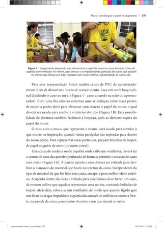 Muco: constituição e papel no organismo | 201
Figura 1 Equipamento preparado para demonstrar o papel do muco no corpo humano. Caixa de
papelão com ventilador no interior, para simular o ar impulsionando partículas de sujeira que acabam
no interior das narinas (A); tubo revestido com muco artiﬁcial, representando as narinas (B) .
Para essa representação foram usados canos de PVC de aproximada-
mente 5 cm de diâmetro e 30 cm de comprimento. Faça um corte longitudi-
nal dividindo o cano ao meio (Figura 1 - cano amarelo na mão do apresen-
tador). Com uma fita adesiva construa uma articulação entre essas partes,
de modo a poder abrir para observar com clareza o papel do muco, o qual
deverá ser usado para recobrir o interior do tubo (Figura 1B). Essa possibi-
lidade de abertura também facilitará a limpeza, após as demonstrações do
papel do muco.
O cano com o muco, que representa a narina, será usado para simular o
que ocorre na inspiração, quando várias partículas são aspiradas para dentro
do nosso corpo. Para representar essas partículas, prepare bolinhas de isopor,
de papel ou grãos de arroz (ou outro cereal).
Uma caixa de madeira ou de papelão, onde caiba um ventilador, deverá ter
o centro de uma das paredes perfurado de forma a permitir o encaixe do cano
com muco (Figura 1A). A parede oposta a essa, deverá ser retirada para faci-
litar o manuseio do material que ficará no interior da caixa. Independente do
tipo de material de que for feito essa caixa, encape-a para melhor efeito estéti-
co. Acoplado dentro da caixa e voltado para esse buraco deve haver um cano,
de mesmo calibre que aquele a representar uma narina, contendo bolinhas de
isopor. Atrás dele, coloca-se um ventilador, de modo que quando ligado gere
um fluxo de ar que impulsione as partículas através do orifício existente à fren-
te, na parede da caixa, para dentro do outro cano que simula a narina
experimentando ciencia - prova9.indd 201experimentando ciencia - prova9.indd 201 19/07/2011 12:42:0619/07/2011 12:42:06
 