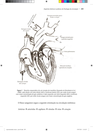 Aspectos teóricos e práticos da ﬁsiologia da circulação | 209
Figura 1 Desenho esquemático de um coração de mamífero (baseado em Brandwein et al.,
1968): Lado direito com átrio direito (AD) e ventrículo direito (VD), por onde circula sangue
com maior concentração de gás carbônico e lado esquerdo com átrio esquerdo (AE) e ventrículo
esquerdo (VE), por onde circula sangue com maior concentração de gás oxigênio.
O fluxo sanguíneo segue a seguinte orientação na circulação sistêmica:
Artérias arteríolas capilares vênulas veias coração
experimentando ciencia - prova9.indd 209experimentando ciencia - prova9.indd 209 19/07/2011 12:42:0719/07/2011 12:42:07
 