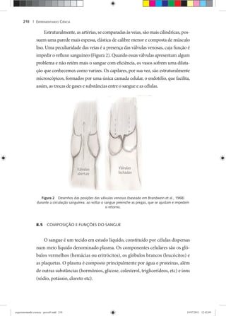 EXPERIMENTANDO CIÊNCIA210 |
Estruturalmente, as artérias, se comparadas às veias, são mais cilíndricas, pos-
suem uma parede mais espessa, elástica de calibre menor e composta de músculo
liso. Uma peculiaridade das veias é a presença das válvulas venosas, cuja função é
impedir o refluxo sanguíneo (Figura 2). Quando essas válvulas apresentam algum
problema e não retêm mais o sangue com eficiência, os vasos sofrem uma dilata-
ção que conhecemos como varizes. Os capilares, por sua vez, são estruturalmente
microscópicos, formados por uma única camada celular, o endotélio, que facilita,
assim, as trocas de gases e substâncias entre o sangue e as células.
Figura 2 Desenhos das posições das válvulas venosas (baseado em Brandwein et al., 1968)
durante a circulação sanguínea: ao voltar o sangue preenche as pregas, que se ajustam e impedem
o retorno.
8.5 COMPOSIÇÃO E FUNÇÕES DO SANGUE
O sangue é um tecido em estado líquido, constituído por células dispersas
num meio líquido denominado plasma. Os componentes celulares são os gló-
bulos vermelhos (hemácias ou eritrócitos), os glóbulos brancos (leucócitos) e
as plaquetas. O plasma é composto principalmente por água e proteínas, além
de outras substâncias (hormônios, glicose, colesterol, triglicerídeos, etc) e íons
(sódio, potássio, cloreto etc).
experimentando ciencia - prova9.indd 210experimentando ciencia - prova9.indd 210 19/07/2011 12:42:0919/07/2011 12:42:09
 