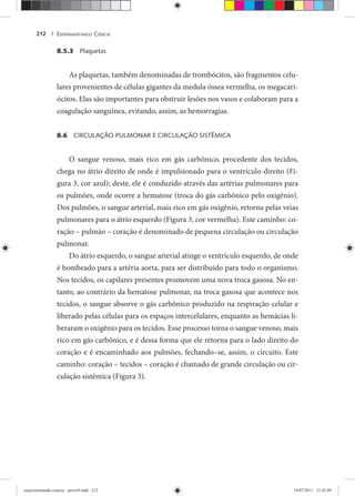 EXPERIMENTANDO CIÊNCIA212 |
8.5.3 Plaquetas
As plaquetas, também denominadas de trombócitos, são fragmentos celu-
lares provenientes de células gigantes da medula óssea vermelha, os megacari-
ócitos. Elas são importantes para obstruir lesões nos vasos e colaboram para a
coagulação sanguínea, evitando, assim, as hemorragias.
8.6 CIRCULAÇÃO PULMONAR E CIRCULAÇÃO SISTÊMICA
O sangue venoso, mais rico em gás carbônico, procedente dos tecidos,
chega no átrio direito de onde é impulsionado para o ventrículo direito (Fi-
gura 3, cor azul); deste, ele é conduzido através das artérias pulmonares para
os pulmões, onde ocorre a hematose (troca do gás carbônico pelo oxigênio).
Dos pulmões, o sangue arterial, mais rico em gás oxigênio, retorna pelas veias
pulmonares para o átrio esquerdo (Figura 3, cor vermelha). Este caminho: co-
ração – pulmão – coração é denominado de pequena circulação ou circulação
pulmonar.
Do átrio esquerdo, o sangue arterial atinge o ventrículo esquerdo, de onde
é bombeado para a artéria aorta, para ser distribuído para todo o organismo.
Nos tecidos, os capilares presentes promovem uma nova troca gasosa. No en-
tanto, ao contrário da hematose pulmonar, na troca gasosa que acontece nos
tecidos, o sangue absorve o gás carbônico produzido na respiração celular e
liberado pelas células para os espaços intercelulares, enquanto as hemácias li-
beraram o oxigênio para os tecidos. Esse processo torna o sangue venoso, mais
rico em gás carbônico, e é dessa forma que ele retorna para o lado direito do
coração e é encaminhado aos pulmões, fechando–se, assim, o circuito. Este
caminho: coração – tecidos – coração é chamado de grande circulação ou cir-
culação sistêmica (Figura 3).
experimentando ciencia - prova9.indd 212experimentando ciencia - prova9.indd 212 19/07/2011 12:42:0919/07/2011 12:42:09
 