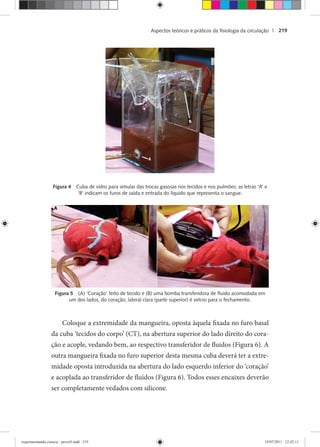 Aspectos teóricos e práticos da ﬁsiologia da circulação | 219
Figura 4 Cuba de vidro para simular das trocas gasosas nos tecidos e nos pulmões; as letras ‘A’ e
‘B’ indicam os furos de saída e entrada do líquido que representa o sangue.
Figura 5 (A) ‘Coração’ feito de tecido e (B) uma bomba transferidora de ﬂuido acomodada em
um dos lados, do coração; lateral clara (parte superior) é velcro para o fechamento.
Coloque a extremidade da mangueira, oposta àquela fixada no furo basal
da cuba ‘tecidos do corpo’ (CT), na abertura superior do lado direito do cora-
ção e acople, vedando bem, ao respectivo transferidor de fluidos (Figura 6). A
outra mangueira fixada no furo superior desta mesma cuba deverá ter a extre-
midade oposta introduzida na abertura do lado esquerdo inferior do ‘coração’
e acoplada ao transferidor de fluidos (Figura 6). Todos esses encaixes deverão
ser completamente vedados com silicone.
experimentando ciencia - prova9.indd 219experimentando ciencia - prova9.indd 219 19/07/2011 12:42:1119/07/2011 12:42:11
 