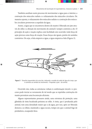 Mecanismos de locomoção em equinodermos, moluscos e peixes | 233
Também auxiliam neste processo de movimentar a água para o interior, a
contração dos músculos radiais e o relaxamento dos músculos circulares. De
maneira oposta, o relaxamento dos músculos radiais e a contração dos múscu-
los circulares promovem a expulsão da água.
Assim, a água que se encontrava dentro do manto é liberada em jato atra-
vés do sifão e a direção do movimento do animal é sempre contrária a ele. O
princípio de ação e reação explica com facilidade este ocorrido: toda força de
ação provoca uma força de reação. Essas forças são iguais, porém de sentidos
contrários. Ou seja, a lula empurra a água, a água empurra a lula (Figura 3).
Figura 3 Desenho esquemático de uma lula, indicando o sentido de saída de água do corpo, que
é contrário ao sentido do movimento – Propulsão a jato – do animal.
Ocorrido isto, todas as estruturas voltam à conformação inicial e o pro-
cesso pode iniciar-se novamente de tal modo que as repetidas contrações do
manto permitem uma locomoção eficiente.
Alguns representantes possuem ainda, uma estrutura de proteção, uma
glândula de tinta localizada próxima ao sifão. A tinta, que é produzida pelo
animal, tem uma densidade maior que a da água, por isso, após ser liberada
demora a se diluir, mantendo a água escura, tempo em que o animal foge de
predadores, escapando ileso.
experimentando ciencia - prova9.indd 233experimentando ciencia - prova9.indd 233 19/07/2011 12:42:1519/07/2011 12:42:15
 