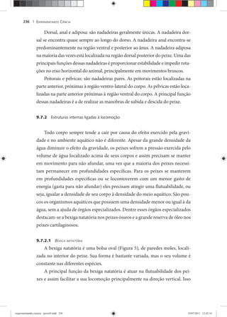 EXPERIMENTANDO CIÊNCIA236 |
Dorsal, anal e adiposa: são nadadeiras geralmente únicas. A nadadeira dor-
sal se encontra quase sempre ao longo do dorso. A nadadeira anal encontra-se
predominantemente na região ventral e posterior ao ânus. A nadadeira adiposa
na maioria das vezes está localizada na região dorsal posterior do peixe. Uma das
principais funções dessas nadadeiras é proporcionar estabilidade e impedir rota-
ções no eixo horizontal do animal, principalmente em movimentos bruscos.
Peitorais e pélvicas: são nadadeiras pares. As peitorais estão localizadas na
parte anterior, próximas à região ventro-lateral do corpo. As pélvicas estão loca-
lizadas na parte anterior próximas à região ventral do corpo. A principal função
dessas nadadeiras é a de realizar as manobras de subida e descida do peixe.
9.7.2 Estruturas internas ligadas à locomoção
Todo corpo sempre tende a cair por causa do efeito exercido pela gravi-
dade e no ambiente aquático não é diferente. Apesar da grande densidade da
água diminuir o efeito da gravidade, os peixes sofrem a pressão exercida pelo
volume de água localizado acima de seus corpos e assim precisam se manter
em movimento para não afundar, uma vez que a maioria dos peixes necessi-
tam permanecer em profundidades específicas. Para os peixes se manterem
em profundidades específicas ou se locomoverem com um menor gasto de
energia (gasta para não afundar) eles precisam atingir uma flutuabilidade, ou
seja, igualar a densidade de seu corpo à densidade do meio aquático. São pou-
cos os organismos aquáticos que possuem uma densidade menor ou igual à da
água, sem a ajuda de órgãos especializados. Dentre esses órgãos especializados
destacam-se a bexiga natatória nos peixes ósseos e a grande reserva de óleo nos
peixes cartilaginosos.
9.7.2.1 BEXIGA NATATÓRIA
A bexiga natatória é uma bolsa oval (Figura 5), de paredes moles, locali-
zada no interior do peixe. Sua forma é bastante variada, mas o seu volume é
constante nas diferentes espécies.
A principal função da bexiga natatória é atuar na flutuabilidade dos pei-
xes e assim facilitar a sua locomoção principalmente na direção vertical. Isso
experimentando ciencia - prova9.indd 236experimentando ciencia - prova9.indd 236 19/07/2011 12:42:1619/07/2011 12:42:16
 