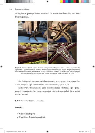 EXPERIMENTANDO CIÊNCIA240 |
de “espinhos” para que ficasse mais real. Da mesma cor do molde, toda a es-
trela foi pintada.
Figura 7 Locomoção em estrelas-do-mar: Exemplares ﬁxados por via seca – um modo errôneo de
apresentar a locomoção nestes animais, utilizando as extremidades dos braços (A); pés ambulacrais
(seta vermelha) situados ventralmente, usados pelo animal para sua locomoção (B); modelo de pés
ambulacrais e de todas as partes do sistema ambulacral, respectivamente (C e D).
Por último, adicionamos ao lado externo da nossa estrela 1 as extremida-
des de chupetas aqui simbolizando nossas ventosas (Figura 7-C).
É importante ressaltar aqui que a cola instantânea e tintas do tipo “spray”
podem corroer materiais como isopor, por isso há a necessidade de se tomar
muito cuidado.
9.8.2 Caminhando como uma estrela
Materiais
02 bicos de chupeta•
02 ventosas de grande aderência•
experimentando ciencia - prova9.indd 240experimentando ciencia - prova9.indd 240 19/07/2011 12:42:1719/07/2011 12:42:17
 