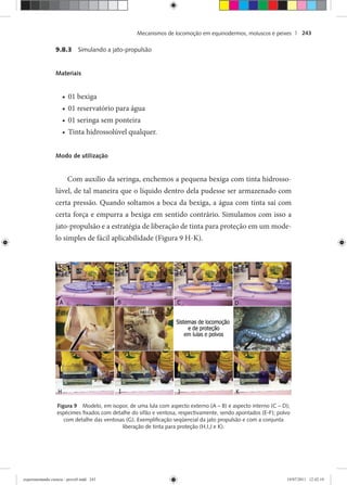 Mecanismos de locomoção em equinodermos, moluscos e peixes | 243
9.8.3 Simulando a jato-propulsão
Materiais
01 bexiga•
01 reservatório para água•
01 seringa sem ponteira•
Tinta hidrossolúvel qualquer.•
Modo de utilização
Com auxílio da seringa, enchemos a pequena bexiga com tinta hidrosso-
lúvel, de tal maneira que o líquido dentro dela pudesse ser armazenado com
certa pressão. Quando soltamos a boca da bexiga, a água com tinta sai com
certa força e empurra a bexiga em sentido contrário. Simulamos com isso a
jato-propulsão e a estratégia de liberação de tinta para proteção em um mode-
lo simples de fácil aplicabilidade (Figura 9 H-K).
Figura 9 Modelo, em isopor, de uma lula com aspecto externo (A – B) e aspecto interno (C – D);
espécimes ﬁxados com detalhe do sifão e ventosa, respectivamente, sendo apontados (E-F); polvo
com detalhe das ventosas (G). Exempliﬁcação seqüencial da jato propulsão e com a conjunta
liberação de tinta para proteção (H,I,J e K).
experimentando ciencia - prova9.indd 243experimentando ciencia - prova9.indd 243 19/07/2011 12:42:1919/07/2011 12:42:19
 
