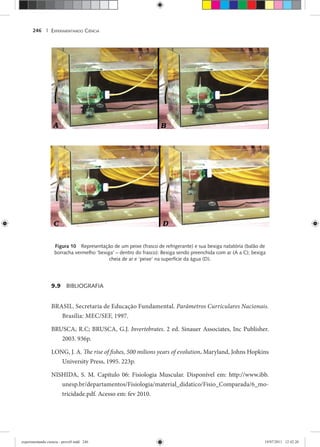EXPERIMENTANDO CIÊNCIA246 |
Figura 10 Representação de um peixe (frasco de refrigerante) e sua bexiga natatória (balão de
borracha vermelho ‘bexiga’ – dentro do frasco): Bexiga sendo preenchida com ar (A a C); bexiga
cheia de ar e ‘peixe’ na superfície da água (D).
9.9 BIBLIOGRAFIA
BRASIL. Secretaria de Educação Fundamental. Parâmetros Curriculares Nacionais.
Brasília: MEC/SEF, 1997.
BRUSCA, R.C; BRUSCA, G.J. Invertebrates. 2 ed. Sinauer Associates, Inc Publisher.
2003. 936p.
LONG, J. A. The rise of fishes, 500 milions years of evolution. Maryland, Johns Hopkins
University Press, 1995. 223p.
NISHIDA, S. M. Capítulo 06: Fisiologia Muscular. Disponível em: http://www.ibb.
unesp.br/departamentos/Fisiologia/material_didatico/Fisio_Comparada/6_mo-
tricidade.pdf. Acesso em: fev 2010.
experimentando ciencia - prova9.indd 246experimentando ciencia - prova9.indd 246 19/07/2011 12:42:2019/07/2011 12:42:20
 