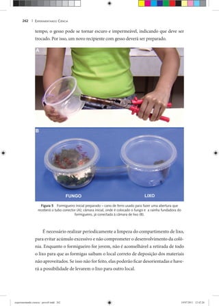 EXPERIMENTANDO CIÊNCIA262 |
tempo, o gesso pode se tornar escuro e impermeável, indicando que deve ser
trocado. Por isso, um novo recipiente com gesso deverá ser preparado.
Figura 5 Formigueiro inicial preparado – cano de ferro usado para fazer uma abertura que
receberá o tubo conector (A); câmara inicial, onde é colocado o fungo e a rainha fundadora do
formigueiro, já conectada à câmara de lixo (B).
É necessário realizar periodicamente a limpeza do compartimento de lixo,
para evitar acúmulo excessivo e não comprometer o desenvolvimento da colô-
nia. Enquanto o formigueiro for jovem, não é aconselhável a retirada de todo
o lixo para que as formigas saibam o local correto de deposição dos materiais
não aproveitados. Se isso não for feito, elas poderão ficar desorientadas e have-
rá a possibilidade de levarem o lixo para outro local.
experimentando ciencia - prova9.indd 262experimentando ciencia - prova9.indd 262 19/07/2011 12:42:2619/07/2011 12:42:26
 