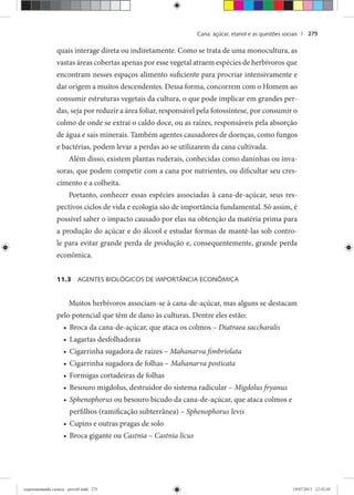 Cana: açúcar, etanol e as questões sociais | 275
quais interage direta ou indiretamente. Como se trata de uma monocultura, as
vastas áreas cobertas apenas por esse vegetal atraem espécies de herbívoros que
encontram nesses espaços alimento suficiente para procriar intensivamente e
dar origem a muitos descendentes. Dessa forma, concorrem com o Homem ao
consumir estruturas vegetais da cultura, o que pode implicar em grandes per-
das, seja por reduzir a área foliar, responsável pela fotossíntese, por consumir o
colmo de onde se extrai o caldo doce, ou as raízes, responsáveis pela absorção
de água e sais minerais. Também agentes causadores de doenças, como fungos
e bactérias, podem levar a perdas ao se utilizarem da cana cultivada.
Além disso, existem plantas ruderais, conhecidas como daninhas ou inva-
soras, que podem competir com a cana por nutrientes, ou dificultar seu cres-
cimento e a colheita.
Portanto, conhecer essas espécies associadas à cana-de-açúcar, seus res-
pectivos ciclos de vida e ecologia são de importância fundamental. Só assim, é
possível saber o impacto causado por elas na obtenção da matéria prima para
a produção do açúcar e do álcool e estudar formas de mantê-las sob contro-
le para evitar grande perda de produção e, consequentemente, grande perda
econômica.
11.3 AGENTES BIOLÓGICOS DE IMPORTÂNCIA ECONÔMICA
Muitos herbívoros associam-se à cana-de-açúcar, mas alguns se destacam
pelo potencial que têm de dano às culturas. Dentre eles estão:
Broca da cana-de-açúcar, que ataca os colmos –• Diatraea saccharalis
Lagartas desfolhadoras•
Cigarrinha sugadora de raízes –• Mahanarva fimbriolata
Cigarrinha sugadora de folhas –• Mahanarva posticata
Formigas cortadeiras de folhas•
Besouro migdolus, destruidor do sistema radicular –• Migdolus fryanus
Sphenophorus• ou besouro bicudo da cana-de-açúcar, que ataca colmos e
perfilhos (ramificação subterrânea) – Sphenophorus levis
Cupins e outras pragas de solo•
Broca gigante ou• Castnia – Castnia licus
experimentando ciencia - prova9.indd 275experimentando ciencia - prova9.indd 275 19/07/2011 12:42:4519/07/2011 12:42:45
 