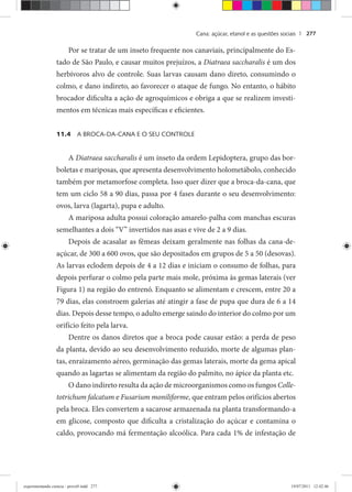 Cana: açúcar, etanol e as questões sociais | 277
Por se tratar de um inseto frequente nos canaviais, principalmente do Es-
tado de São Paulo, e causar muitos prejuízos, a Diatraea saccharalis é um dos
herbívoros alvo de controle. Suas larvas causam dano direto, consumindo o
colmo, e dano indireto, ao favorecer o ataque de fungo. No entanto, o hábito
brocador dificulta a ação de agroquímicos e obriga a que se realizem investi-
mentos em técnicas mais específicas e eficientes.
11.4 A BROCA-DA-CANA E O SEU CONTROLE
A Diatraea saccharalis é um inseto da ordem Lepidoptera, grupo das bor-
boletas e mariposas, que apresenta desenvolvimento holometábolo, conhecido
também por metamorfose completa. Isso quer dizer que a broca-da-cana, que
tem um ciclo 58 a 90 dias, passa por 4 fases durante o seu desenvolvimento:
ovos, larva (lagarta), pupa e adulto.
A mariposa adulta possui coloração amarelo-palha com manchas escuras
semelhantes a dois “V” invertidos nas asas e vive de 2 a 9 dias.
Depois de acasalar as fêmeas deixam geralmente nas folhas da cana-de-
açúcar, de 300 a 600 ovos, que são depositados em grupos de 5 a 50 (desovas).
As larvas eclodem depois de 4 a 12 dias e iniciam o consumo de folhas, para
depois perfurar o colmo pela parte mais mole, próxima às gemas laterais (ver
Figura 1) na região do entrenó. Enquanto se alimentam e crescem, entre 20 a
79 dias, elas constroem galerias até atingir a fase de pupa que dura de 6 a 14
dias. Depois desse tempo, o adulto emerge saindo do interior do colmo por um
orifício feito pela larva.
Dentre os danos diretos que a broca pode causar estão: a perda de peso
da planta, devido ao seu desenvolvimento reduzido, morte de algumas plan-
tas, enraizamento aéreo, germinação das gemas laterais, morte da gema apical
quando as lagartas se alimentam da região do palmito, no ápice da planta etc.
O dano indireto resulta da ação de microorganismos como os fungos Colle-
totrichum falcatum e Fusarium moniliforme, que entram pelos orifícios abertos
pela broca. Eles convertem a sacarose armazenada na planta transformando-a
em glicose, composto que dificulta a cristalização do açúcar e contamina o
caldo, provocando má fermentação alcoólica. Para cada 1% de infestação de
experimentando ciencia - prova9.indd 277experimentando ciencia - prova9.indd 277 19/07/2011 12:42:4619/07/2011 12:42:46
 