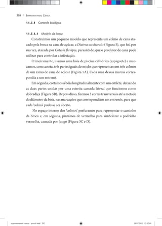 EXPERIMENTANDO CIÊNCIA292 |
11.7.1 Controle biológico
11.7.1.1 Modelo da broca
Construímos um pequeno modelo que representa um colmo de cana ata-
cado pela broca na cana de açúcar, a Diatrea saccharalis (Figura 5), que foi, por
sua vez, atacada por Cotesia flavipes, parasitóide, que o produtor de cana pode
utilizar para controlar a infestação.
Primeiramente, usamos uma bóia de piscina cilíndrica (espaguete) e mar-
camos, com caneta, três partes iguais de modo que representassem três colmos
de um ramo de cana de açúcar (Figura 5A). Cada uma dessas marcas corres-
pondia a um entrenó.
Em seguida, cortamos a bóia longitudinalmente com um estilete, deixando
as duas partes unidas por uma estreita camada lateral que funcionou como
dobradiça (Figura 5B). Depois disso, fizemos 3 cortes transversais até a metade
do diâmetro da bóia, nas marcações que correspondiam aos entrenós, para que
cada ‘colmo’ pudesse ser aberto.
No espaço interno dos ‘colmos’ perfuramos para representar o caminho
da broca e, em seguida, pintamos de vermelho para simbolizar a podridão
vermelha, causada por fungo (Figura 5C e D).
experimentando ciencia - prova9.indd 292experimentando ciencia - prova9.indd 292 19/07/2011 12:42:4919/07/2011 12:42:49
 