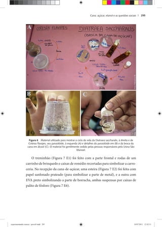 Cana: açúcar, etanol e as questões sociais | 295
Figura 6 Material utilizado para mostrar o ciclo de vida da Diatraea saccharalis, à direita e de
Cotesia ﬂavipes, seu parasitóide, à esquerda (A) e detalhes do parasitóide em (B) e da broca da
cana em álcool (C). O material foi gentilmente cedido pelas pessoas responsáveis pela Usina São
Manoel.
O treminhão (Figura 7 E1) foi feito com a parte frontal e rodas de um
carrinho de brinquedo e caixas de remédio recortadas para simbolizar a carro-
ceria. Na recepção da cana-de-açúcar, uma esteira (Figura 7 E2) foi feita com
papel sanfonado prateado (para simbolizar a parte de metal), e a outra com
EVA preto simbolizando a parte de borracha, ambas suspensas por caixas de
palito de fósforo (Figura 7 E6).
experimentando ciencia - prova9.indd 295experimentando ciencia - prova9.indd 295 19/07/2011 12:42:5119/07/2011 12:42:51
 