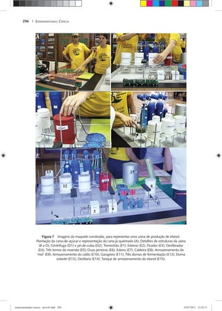 EXPERIMENTANDO CIÊNCIA296 |
Figura 7 Imagens da maquete construída, para representar uma usina de produção de etanol:
Plantação da cana-de-açúcar e representação da cana já queimada (A); Detalhes de estruturas da usina
(B a D); Centrífuga (D1) e pé-de-cuba (D2); Treminhão (E1); Esteiras (E2); Picador (E3); Desﬁbrador
(E4); Três ternos da moenda (E5); Duas peneiras (E6); Esteira (E7); Caldeira (E8); Armazenamento do
‘mel’ (E9); Armazenamento do caldo (E10); Garapeira (E11); Três dornas de fermentação (E12); Dorna
volante (E13); Destilaria (E14); Tanque de armazenamento do etanol (E15).
experimentando ciencia - prova9.indd 296experimentando ciencia - prova9.indd 296 19/07/2011 12:42:5119/07/2011 12:42:51
 