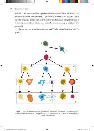 EXPERIMENTANDO CIÊNCIA324 |
única CT originar uma célula especializada, constituinte do tecido onde a pri-
meira se encontra, e uma outra CT, igualmente indiferenciada e com todas as
características da célula-mãe, porém menor em tamanho. Isto permite que o
tecido seja acrescido de células especializadas e mantenha a população de CTs
constante.
Mesmo com características comuns, as CTs não são todas iguais (ver Fi-
gura 1).
Figura 1 Graus de diferenciação das células tronco (CT) a – CT totipotente; b – célula originária
dos tecidos da Placenta; c – CT pluripotente; d – CTs multipotentes; e – CTs uni ou monopotentes;
f – células especializadas.
experimentando ciencia - prova9.indd 324experimentando ciencia - prova9.indd 324 19/07/2011 12:42:5719/07/2011 12:42:57
 