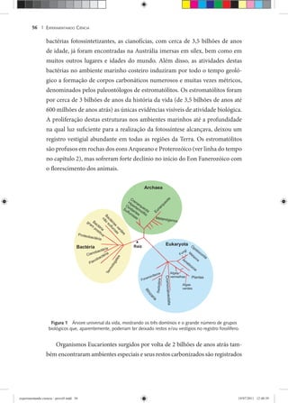 EXPERIMENTANDO CIÊNCIA56 |
bactérias fotossintetizantes, as cianofícias, com cerca de 3,5 bilhões de anos
de idade, já foram encontradas na Austrália imersas em sílex, bem como em
muitos outros lugares e idades do mundo. Além disso, as atividades destas
bactérias no ambiente marinho costeiro induziram por todo o tempo geoló-
gico a formação de corpos carbonáticos numerosos e muitas vezes métricos,
denominados pelos paleontólogos de estromatólitos. Os estromatólitos foram
por cerca de 3 bilhões de anos da história da vida (de 3,5 bilhões de anos até
600 milhões de anos atrás) as únicas evidências visíveis de atividade biológica.
A proliferação destas estruturas nos ambientes marinhos até a profundidade
na qual luz suficiente para a realização da fotossíntese alcançava, deixou um
registro vestigial abundante em todas as regiões da Terra. Os estromatólitos
são profusos em rochas dos eons Arqueano e Proterozóico (ver linha do tempo
no capítulo 2), mas sofreram forte declínio no início do Eon Fanerozóico com
o florescimento dos animais.
Figura 1 Árvore universal da vida, mostrando os três domínios e o grande número de grupos
biológicos que, aparentemente, poderiam ter deixado restos e/ou vestígios no registro fossilífero.
Organismos Eucariontes surgidos por volta de 2 bilhões de anos atrás tam-
bém encontraram ambientes especiais e seus restos carbonizados são registrados
experimentando ciencia - prova9.indd 56experimentando ciencia - prova9.indd 56 19/07/2011 12:40:3919/07/2011 12:40:39
 