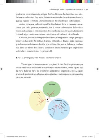 Paleontologia, fósseis e o processo de fossilização | 57
igualmente em rochas muito antigas. Porém, diferente das bactérias, suas ativi-
dades não induziam a deposição de domos ou camadas de sedimentos de modo
que seu registro se resume a raríssimos restos dos seus tecidos carbonizados.
Assim, por quase todo o tempo Pré-Cambriano, ficou preservado nas ro-
chas o que tinha para ser preservado, isto é, restos carbonizados de bactérias
fotossintetizantes e os estromatólitos decorrentes de suas atividades, bem como
restos de algas e outros raríssimos e duvidosos microfósseis e icnofósseis.
Com isso, tratamos do registro fossilífero de boa parte do tempo geológico
compreendido entre 3,8 bilhões de anos e 600 milhões de anos atrás, e dois dos
grandes ramos da árvore da vida procariótica, Bacteria e Achaea, e também
boa parte do ramo dos Eukaria compostos exclusivamente por organismos
unicelulares microscópicos (veja figura 1).
3.5.3 A presença de partes duras na arquitetura corporal
Vamos agora nos concentrar na porção da árvore da vida que restou que
inclui seres vivos eucariontes unicelulares e multicelulares, onde algum tipo
de parte dura faz parte da arquitetura corporal do organismo, isto é, alguns
grupos de protozoários, algumas algas, plantas, e outros poucos metazoários,
isto é, os animais.
experimentando ciencia - prova9.indd 57experimentando ciencia - prova9.indd 57 19/07/2011 12:40:3919/07/2011 12:40:39
 