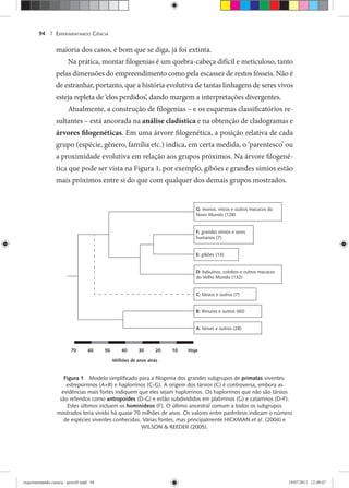 EXPERIMENTANDO CIÊNCIA94 |
maioria dos casos, é bom que se diga, já foi extinta.
Na prática, montar filogenias é um quebra-cabeça difícil e meticuloso, tanto
pelas dimensões do empreendimento como pela escassez de restos fósseis. Não é
de estranhar, portanto, que a história evolutiva de tantas linhagens de seres vivos
esteja repleta de ‘elos perdidos’, dando margem a interpretações divergentes.
Atualmente, a construção de filogenias – e os esquemas classificatórios re-
sultantes – está ancorada na análise cladística e na obtenção de cladogramas e
árvores filogenéticas. Em uma árvore filogenética, a posição relativa de cada
grupo (espécie, gênero, família etc.) indica, em certa medida, o ‘parentesco’ ou
a proximidade evolutiva em relação aos grupos próximos. Na árvore filogené-
tica que pode ser vista na Figura 1, por exemplo, gibões e grandes símios estão
mais próximos entre si do que com qualquer dos demais grupos mostrados.
G: monos, micos e outros macacos do
Novo Mundo (128)
F: grandes símios e seres
humanos (7)
E: gibões (14)
D: babuínos, colobos e outros macacos
do Velho Mundo (132)
C: társios e outros (7)
B: lêmures e outros (60)
A: lórises e outros (28)
70 60 50 40 30 20 10 Hoje
Milhões de anos atrás
Figura 1 Modelo simpliﬁcado para a ﬁlogenia dos grandes subgrupos de primatas viventes:
estrepsirrinos (A+B) e haplorrinos (C-G). A origem dos társios (C) é controversa, embora as
evidências mais fortes indiquem que eles sejam haplorrinos. Os haplorrinos que não são társios
são referidos como antropoides (D-G) e estão subdivididos em platirrinos (G) e catarrinos (D-F).
Estes últimos incluem os hominídeos (F). O último ancestral comum a todos os subgrupos
mostrados teria vivido há quase 70 milhões de anos. Os valores entre parêntesis indicam o número
de espécies viventes conhecidas. Várias fontes, mas principalmente HICKMAN et al. (2004) e
WILSON & REEDER (2005).
experimentando ciencia - prova9.indd 94experimentando ciencia - prova9.indd 94 19/07/2011 12:40:4719/07/2011 12:40:47
 