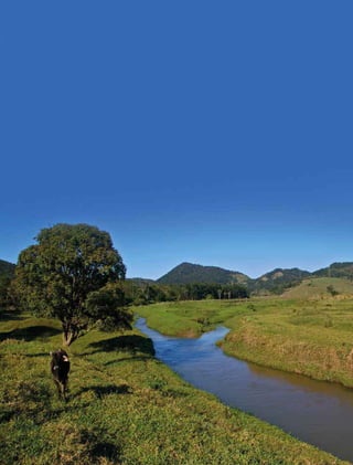 114 experiências de pagamentos por serviços ambientais no brasil
 