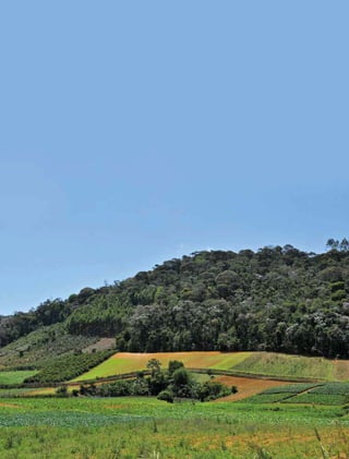 132 experiências de pagamentos por serviços ambientais no brasil
 