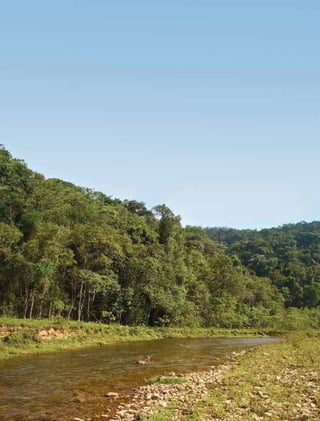 152 experiências de pagamentos por serviços ambientais no brasil
 