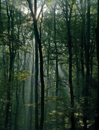 166 experiências de pagamentos por serviços ambientais no brasil
 
