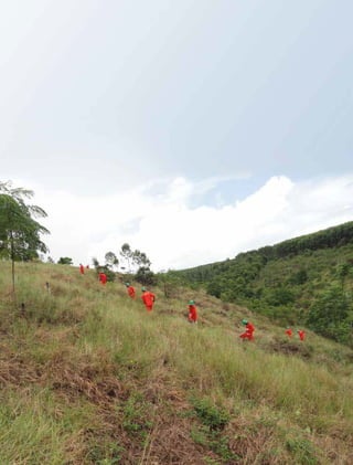 16 experiências de pagamentos por serviços ambientais no brasil
 