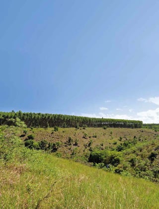 180 experiências de pagamentos por serviços ambientais no brasil
 