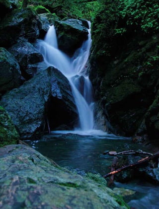 196 experiências de pagamentos por serviços ambientais no brasil
 
