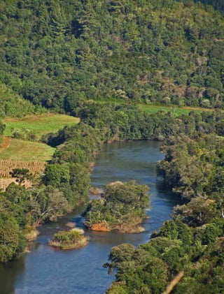 214 experiências de pagamentos por serviços ambientais no brasil
 