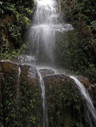 232 experiências de pagamentos por serviços ambientais no brasil
 