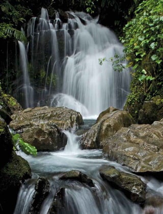 270 experiências de pagamentos por serviços ambientais no brasil
 