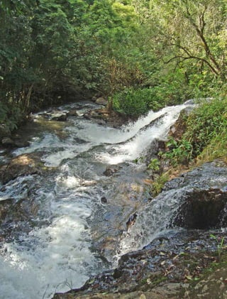 298 experiências de pagamentos por serviços ambientais no brasil
 