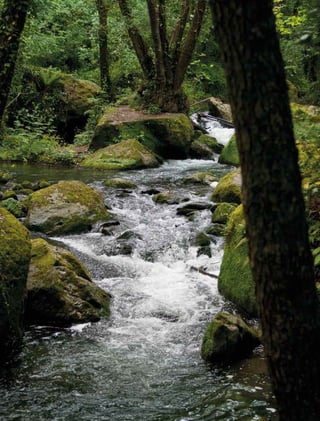 320 experiências de pagamentos por serviços ambientais no brasil
 