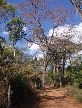 42 experiências de pagamentos por serviços ambientais no brasil
 