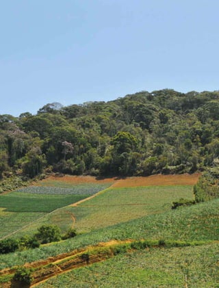 4 experiências de pagamentos por serviços ambientais no brasil
 