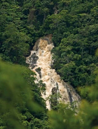 66 experiências de pagamentos por serviços ambientais no brasil
 