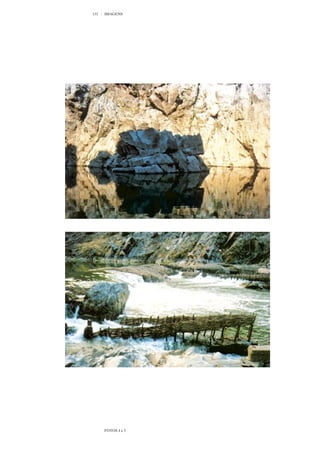 131   IMAGENS




      FOTOS 4 e 5
 