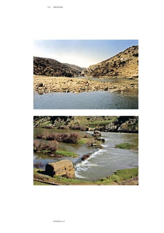 133   IMAGENS




      FOTOS 8 e 9
 