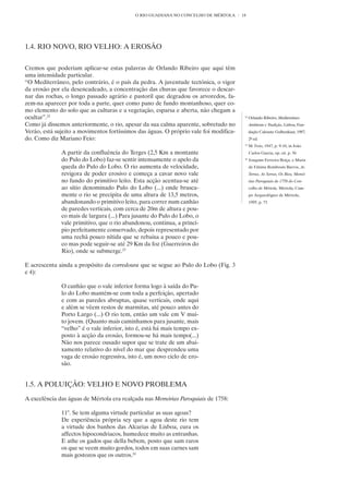 O RIO GUADIANA NO CONCELHO DE MÉRTOLA      18




1.4. RIO NOVO, RIO VELHO: A EROSÃO


Cremos que poderiam aplicar-se estas palavras de Orlando Ribeiro que aqui têm
uma intensidade particular.
“O Mediterrâneo, pelo contrário, é o país da pedra. A juventude tectónica, o vigor
da erosão por ela desencadeado, a concentração das chuvas que favorece o descar-
nar das rochas, o longo passado agrário e pastoril que degradou os arvoredos, fa-
zem-na aparecer por toda a parte, quer como pano de fundo montanhoso, quer co-
mo elemento do solo que as culturas e a vegetação, esparsa e aberta, não chegam a
ocultar”.22                                                                             22
                                                                                             Orlando Ribeiro, Mediterrâneo
Como já dissemos anteriormente, o rio, apesar da sua calma aparente, sobretudo no            Ambiente e Tradição, Lisboa, Fun-
Verão, está sujeito a movimentos fortíssimos das águas. O próprio vale foi modifica-         dação Calouste Gulbenkian, 1987,
do. Como diz Mariano Feio:                                                                   2ª ed.
                                                                                        23
                                                                                             M. Feio, 1947, p. 9-10, in João
              A partir da confluência do Terges (2,5 Km a montante                           Carlos Garcia, op. cit. p. 36
              do Pulo do Lobo) faz-se sentir intensamente o apelo da                    24
                                                                                             Joaquim Ferreira Boiça, e Maria
              queda do Pulo do Lobo. O rio aumenta de velocidade,                            de Fátima Rombouts Barros, As
              revigora de poder erosivo e começa a cavar novo vale                           Terras, As Serras, Os Rios, Memó-
              no fundo do primitivo leito. Esta acção acentua-se até                         rias Paroquiais de 1758 do Con-
              ao sítio denominado Pulo do Lobo (...) onde brusca-                            celho de Mértola, Mértola, Cam-
              mente o rio se precipita de uma altura de 13,5 metros,                         po Arqueológico de Mértola,
              abandonando o primitivo leito, para correr num canhão                          1995, p. 73
              de paredes verticais, com cerca de 20m de altura e pou-
              co mais de largura (...) Para jusante do Pulo do Lobo, o
              vale primitivo, que o rio abandonou, continua, a princí-
              pio perfeitamente conservado, depois representado por
              uma rechã pouco nítida que se rebaixa a pouco e pou-
              co mas pode seguir-se até 29 Km da foz (Guerreiros do
              Rio), onde se submerge.23

E acrescenta ainda a propósito da corredoura que se segue ao Pulo do Lobo (Fig. 3
e 4):

              O canhão que o vale inferior forma logo à saída do Pu-
              lo do Lobo mantém-se com toda a perfeição, apertado
              e com as paredes abruptas, quase verticais, onde aqui
              e além se vêem restos de marmitas, até pouco antes do
              Porto Largo (...) O rio tem, então um vale em V mui-
              to jovem. (Quanto mais caminhamos para jusante, mais
              “velho” é o vale inferior, isto é, está há mais tempo ex-
              posto à acção da erosão, formou-se há mais tempo(...)
              Não nos parece ousado supor que se trate de um abai-
              xamento relativo do nível do mar que desprendeu uma
              vaga de erosão regressiva, isto é, um novo ciclo de ero-
              são.


1.5. A POLUIÇÃO: VELHO E NOVO PROBLEMA

A excelência das águas de Mértola era realçada nas Memórias Paroquiais de 1758:

              11°. Se tem alguma virtude particular as suas agoas?
              De experiência própria sey que a agoa deste rio tem
              a virtude dos banhos das Alcarias de Lixboa, cura os
              affectos hipocondriacos, humedece muito as entranhas.
              E athe os gados que della bebem, posto que sam raros
              os que se veem muito gordos, todos em suas carnes sam
              mais gostozos que os outros.24
 