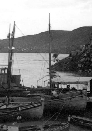 55   A PESCA NO GUADIANA
 