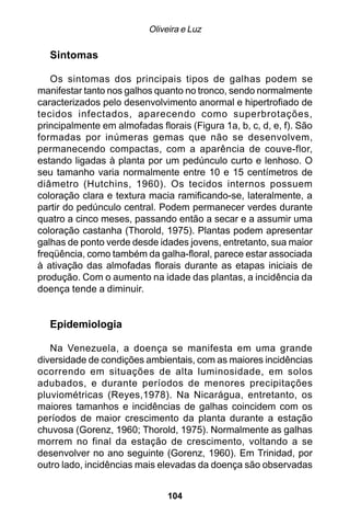 Oliveira e Luz

   Sintomas

   Os sintomas dos principais tipos de galhas podem se
manifestar tanto nos galhos quanto no tronco, sendo normalmente
caracterizados pelo desenvolvimento anormal e hipertrofiado de
tecidos infectados, aparecendo como superbrotações,
principalmente em almofadas florais (Figura 1a, b, c, d, e, f). São
formadas por inúmeras gemas que não se desenvolvem,
permanecendo compactas, com a aparência de couve-flor,
estando ligadas à planta por um pedúnculo curto e lenhoso. O
seu tamanho varia normalmente entre 10 e 15 centímetros de
diâmetro (Hutchins, 1960). Os tecidos internos possuem
coloração clara e textura macia ramificando-se, lateralmente, a
partir do pedúnculo central. Podem permanecer verdes durante
quatro a cinco meses, passando então a secar e a assumir uma
coloração castanha (Thorold, 1975). Plantas podem apresentar
galhas de ponto verde desde idades jovens, entretanto, sua maior
freqüência, como também da galha-floral, parece estar associada
à ativação das almofadas florais durante as etapas iniciais de
produção. Com o aumento na idade das plantas, a incidência da
doença tende a diminuir.


   Epidemiologia

   Na Venezuela, a doença se manifesta em uma grande
diversidade de condições ambientais, com as maiores incidências
ocorrendo em situações de alta luminosidade, em solos
adubados, e durante períodos de menores precipitações
pluviométricas (Reyes,1978). Na Nicarágua, entretanto, os
maiores tamanhos e incidências de galhas coincidem com os
períodos de maior crescimento da planta durante a estação
chuvosa (Gorenz, 1960; Thorold, 1975). Normalmente as galhas
morrem no final da estação de crescimento, voltando a se
desenvolver no ano seguinte (Gorenz, 1960). Em Trinidad, por
outro lado, incidências mais elevadas da doença são observadas


                                104
 